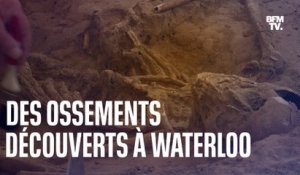 Des ossements découverts à Waterloo, deux siècles après la bataille