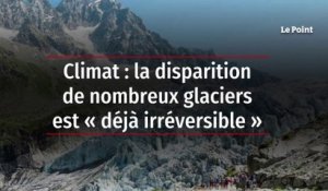 Climat : la disparition de nombreux glaciers est « déjà irréversible »
