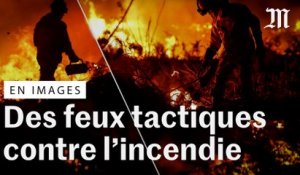 Incendies en Gironde : des feux tactiques pour contenir les flammes
