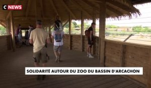 Solidarité autour du zoo du bassin d'Arcachon
