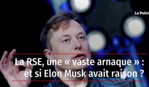 La RSE, une « vaste arnaque » : et si Elon Musk avait raison ?