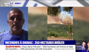 Incendies dans l'Hérault: "C'est la première fois que l'on voit ce type de feu sur notre secteur", affirme un maire
