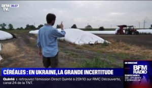 Céréales bloquées en Ukraine: l'inquiétude de Florian, entrepreneur agricole français installé dans le pays depuis 13 ans