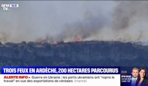 Trois feux en cours en Ardèche, 200 hectares parcourus