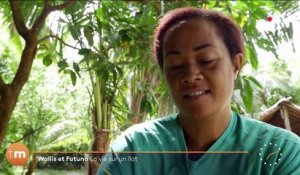 Fenêtre sur l’Outre-mer - Wallis et Futuna : la vie sur un îlot