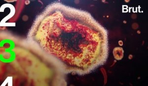 9 questions très simples sur la variole du singe