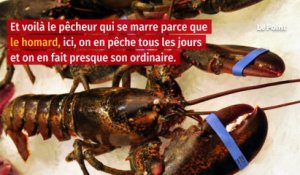 François de Rugy, le homard ne l’a pas tué