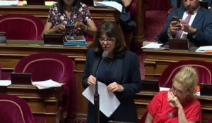 Nathalie Goulet (UDI) : "La carte vitale biométrique peut être le pire et le meilleur."