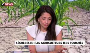 Jeannette Bougrab :  «On va pénaliser les agriculteurs français et en même temps importer, c’est triste à mourir»