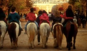 Paris : vers la fin des promenades à dos de poney dans les parcs, au nom du bien-être animal ?