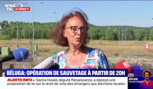 Béluga dans la Seine: "80 personnes dont une quarantaine de pompiers" sont mobilisés pour l'opération de sauvetage, selon la préfecture