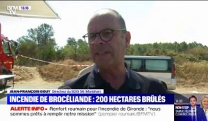 Incendie dans la forêt de Brocéliande: "Le feu a parcouru plus de 200 hectares et n'est pas encore fixé", selon les pompiers