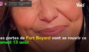 VOICI - Carinne Teyssandier : pourquoi l'animatrice avait été condamnée à six mois de prison avec sursis