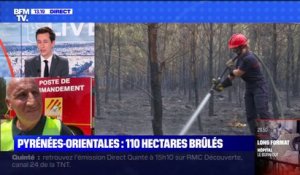 Dans les Pyrénées-Orientales, un incendie a déjà brûlé 105 hectares