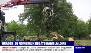 Opération nettoyage à Saint-Étienne et à Cassis après les intempéries