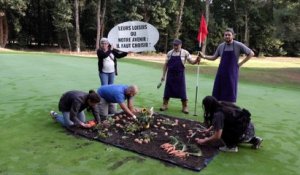 Des militants écologistes plantent un potager sur un terrain de golf dans les Yvelines