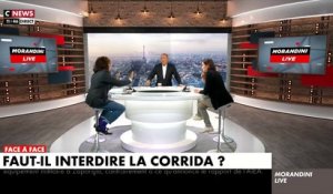 Débat sur la corrida dans "Morandini Live" - Gros accrochage entre un défenseur de la corrida et Jean-Marc Morandini - VIDEO