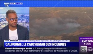 "Méga-feux": pour Gaël Musquet, spécialiste dans l’anticipation, la prévision et la prévention des catastrophes naturelles, "on est sur des dynamiques avec des feux de plus en plus violents et importants"