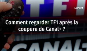 Comment regarder TF1 après la coupure de Canal+ ?