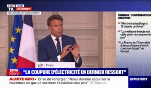 Emmanuel Macron: "Le choix le plus rationnel était de confirmer la fermeture" de la centrale de Fessenheim