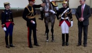 Fabuleu de Maucour, le jeune cheval français offert à Elizabeth II pour ses 70 ans de règne