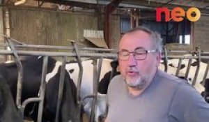 Placé en liquidation judiciaire, Jean-François se bat pour sauver ses vaches