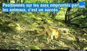 Le_feuilleton_des_biotresors_du_parc_des monts d'Ardèche