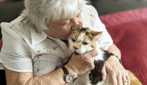 Angleterre : un couple de personnes âgées retrouve sa chatte six ans après sa disparition