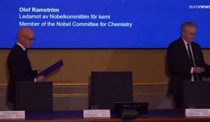 Le prix Nobel de chimie revient à la chimie "click", une méthode pour relier des molécules