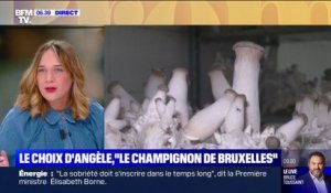 Le choix d'Angèle - Des champignons produits à base de pain et de bière, en Belgique