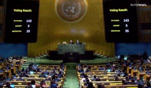 Ukraine : l'Assemblée générale de l'ONU condamne les "annexions illégales" de la Russie