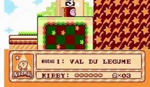 Kirby's Adventure online multiplayer - nes