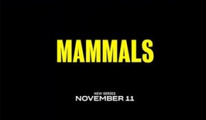 Mammals - Teaser Officiel Saison 1