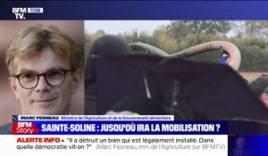 Marc Fesneau, ministre de l'Agriculture: les manifestants de Sainte-Soline "n'étaient pas là pour faire une kermesse"