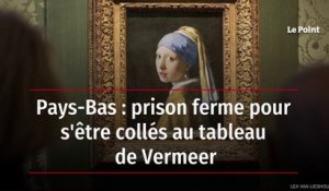 Pays-Bas : prison ferme pour s'être collés au tableau de Vermeer