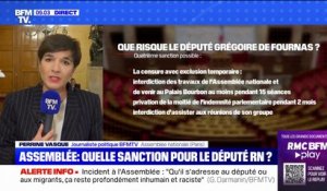 Incident raciste à l'Assemblée: que risque le député Grégoire de Fournas ?