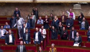 France : le député RN exclu 15 jours de l'Assemblée nationale pour ses propos racistes