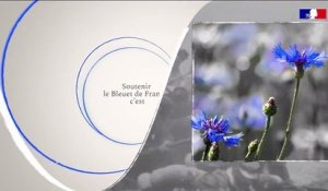Ministère des Armées  - Depuis 1916, le  Bleuet France  accompagne et soutient les combattants et les victimes des conflits grâce aux fonds collectés.