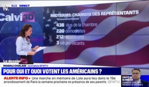 Membres du Congrès, gouverneurs, référendums: pour quoi votent les Américains ?