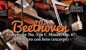 Beethoven: Symphony No. 5 in C Minor, Op. 67: I. Allegro con brio (excerpt)