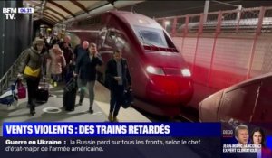 Vents violents: la circulation des trains perturbée dans le nord de la France