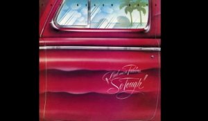 The Beach Boys - Here She Comes