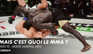 Mais c'est quoi le MMA ? - ARES 10 Mixed Martial Arts
