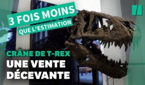 Ce crâne de T-Rex a été vendu aux enchères bien en dessous du montant estimé
