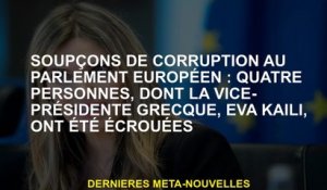 Les soupçons de corruption au Parlement européen: quatre personnes, dont le vice-président grec, Eva