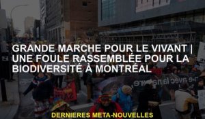 Grande promenade pour les vivantsUne foule réunie pour la biodiversité à Montréal