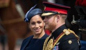 Meghan Markle et le prince Harry : une dispute filmée en direct ?