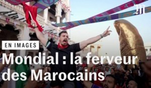 La ferveur des supporteurs marocains au Qatar avant la demi-finale contre la France