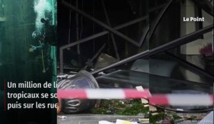 Le plus gros aquarium cylindrique du monde explose, au moins deux blessés