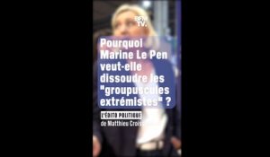 ÉDITO - Pourquoi Marine Le Pen veut-elle dissoudre les "groupuscules extrémistes" ?